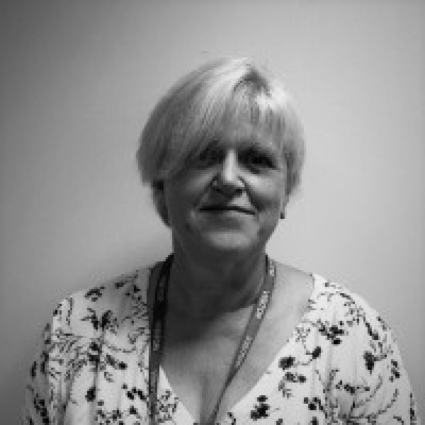 Sue DaCasto profile photo